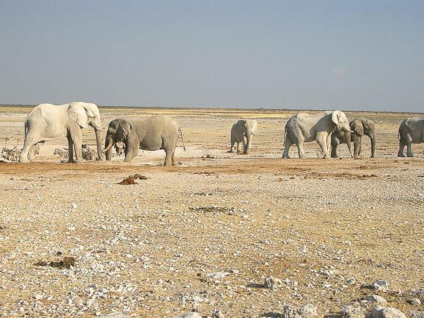 Namibia and Botswana camping safari