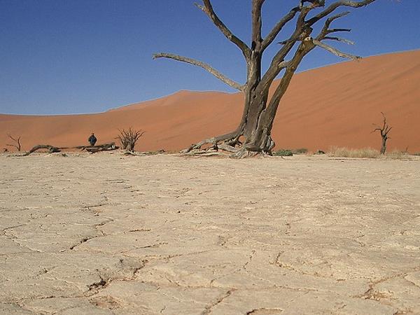 Namibia Desert & Caprivi camping safari