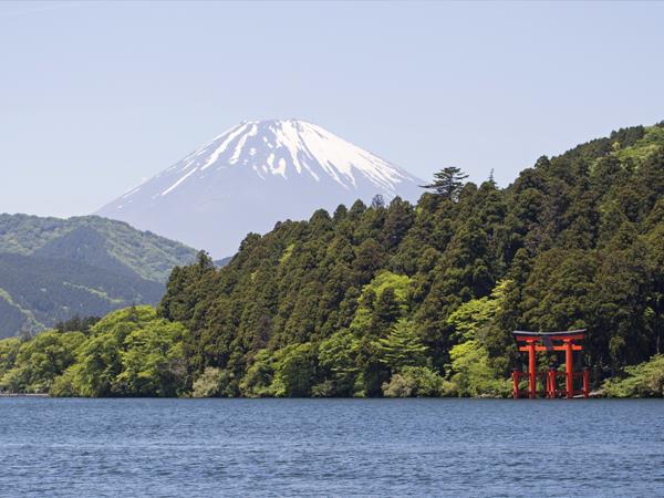 Japan honeymoon tour on a shoestring