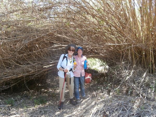 Walking in Andalucia, Spain