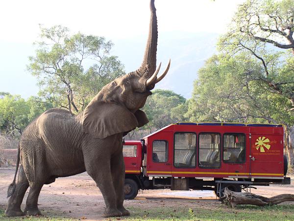 Safari adventure holiday, Zambia, Malawi and Mozambique