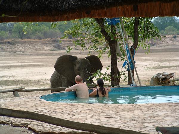 Safari adventure holiday, Zambia, Malawi and Mozambique