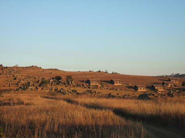 South Africa walking safari