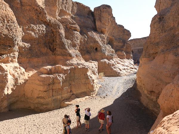 Cape to Windhoek Namib desert camping safari