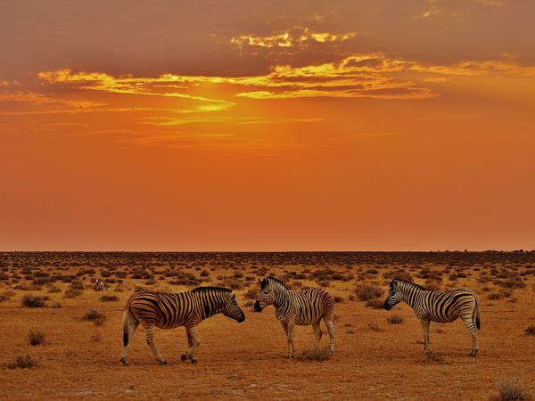 Cape to Windhoek Namib desert camping safari