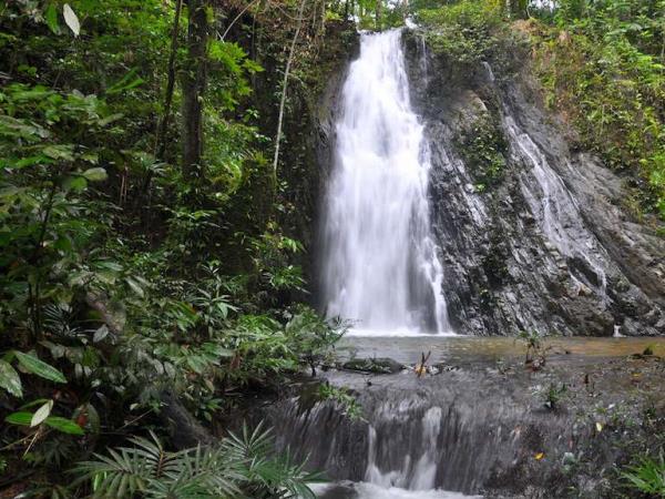 Sarawak vacation, wildlife adventure