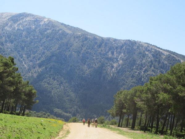 Your own group walking tours in Andalucia, Spain