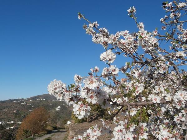 Your own group walking tours in Andalucia, Spain