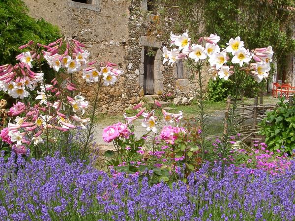 Self guided walking vacation in France