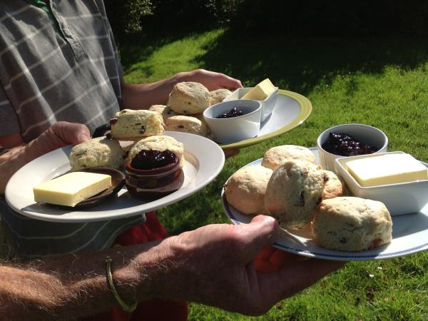 Devon self catering cottage in England