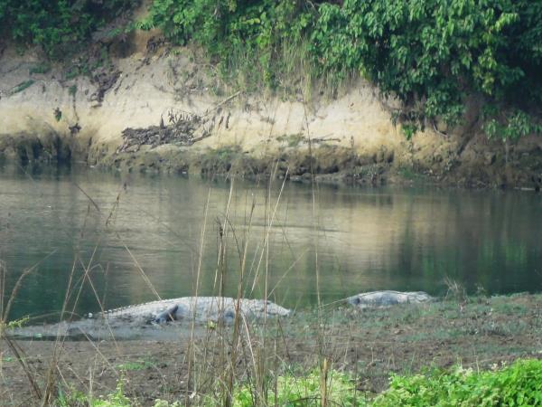 Nepal vacation, encompassed