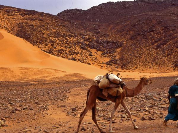 Algeria vacations, Desert and History