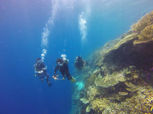 Bali vacation, tailor made