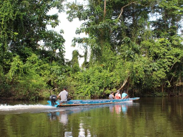 Borneo family tour