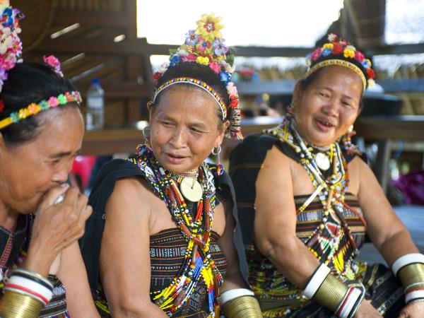 Borneo family tour