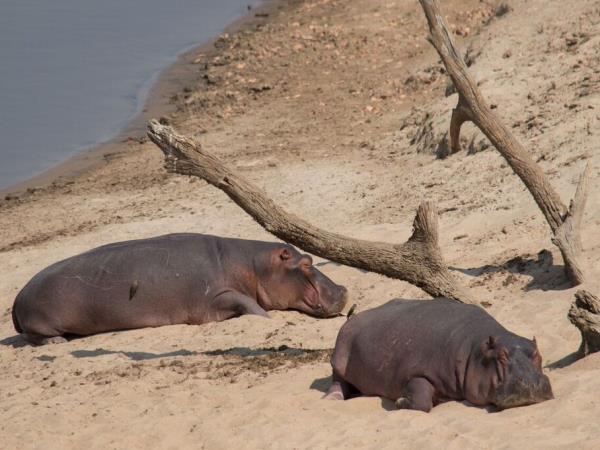 Malawi & Zambia culture and nature tour