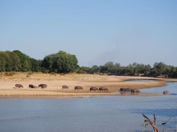 Malawi & Zambia culture and nature tour