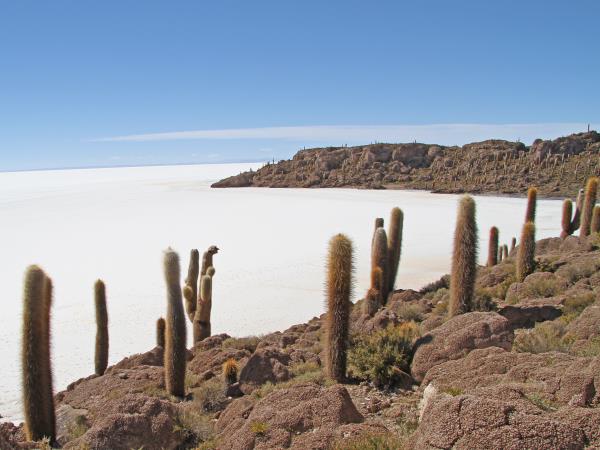 Bolivia small group tour, Lowlands to The Andes