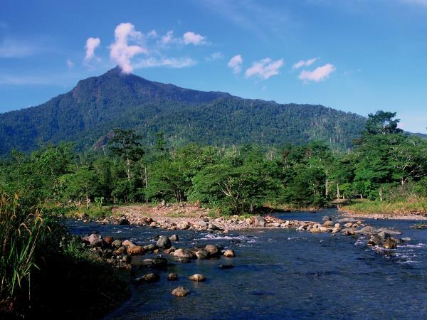 Borneo vacation, culture and wildlife