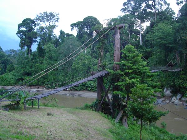 Borneo vacation, culture and wildlife