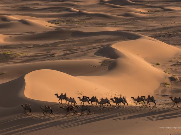 Highlights of Mongolia, small group tour