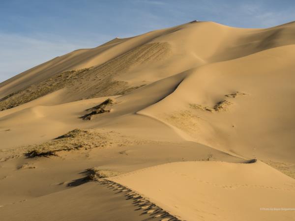 Highlights of Mongolia, small group tour