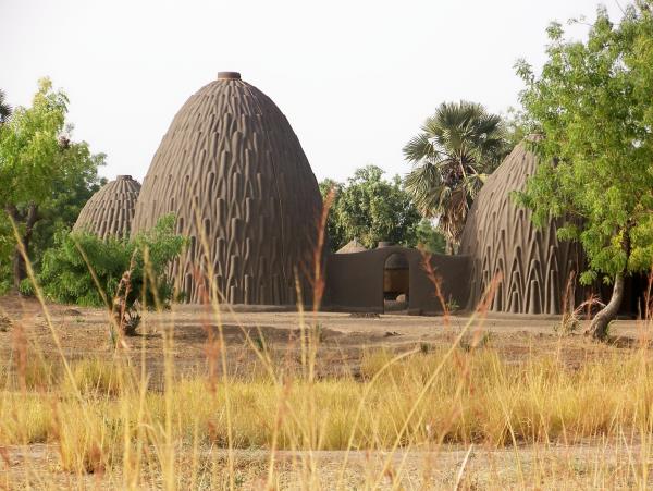 Cameroon vacation, culture and wildlife