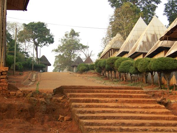 Cameroon vacation, culture and wildlife