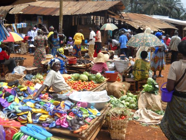 Cameroon vacation, culture and wildlife