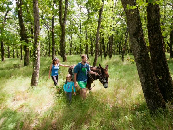 Family walking vacations with a donkey, France