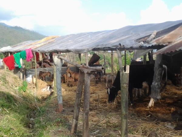 Trek & volunteer in Nepal, help rebuild it
