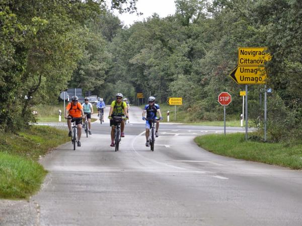 Istrian Peninsula biking vacation, Croatia
