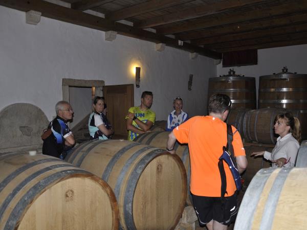 Croatia wine tour by bike