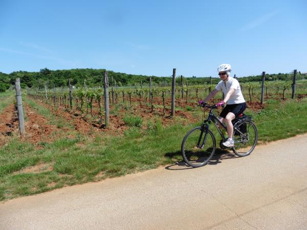 Croatia wine tour by bike