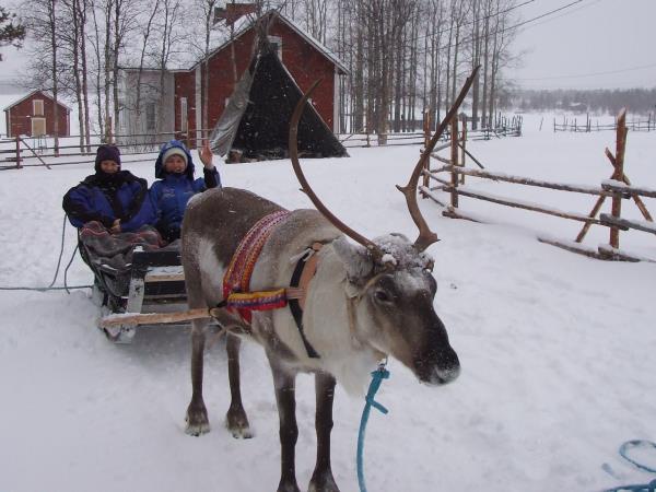 Winter vacation in Finnish Lapland, tailor made