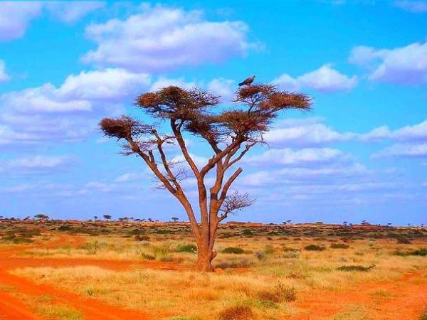 Somaliland cultural tour in Somalia