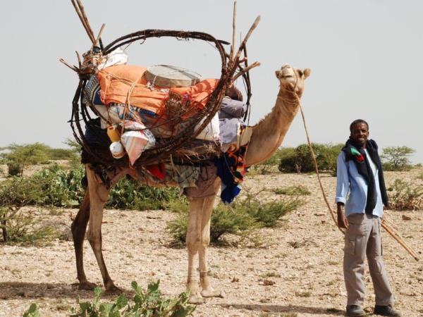 Somaliland cultural tour in Somalia