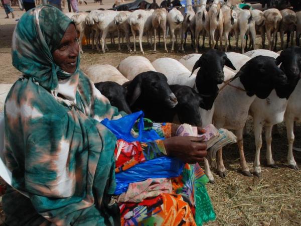 Somaliland cultural tour in Somalia