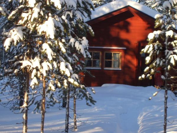 Winter vacation in Finnish Lapland, tailor made