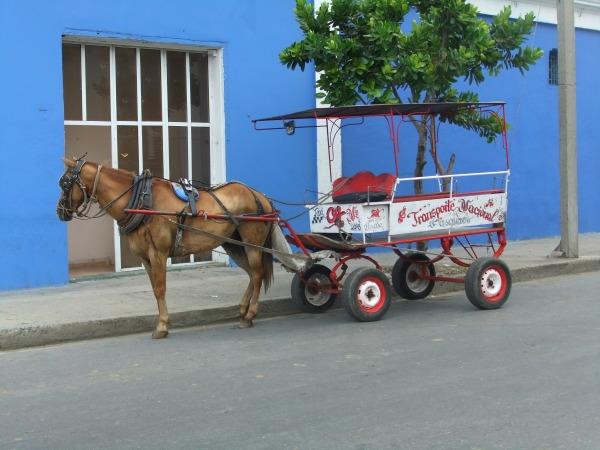 Cuba homestay vacation