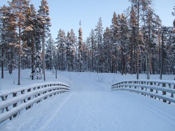 Winter vacation in Finnish Lapland, tailor made