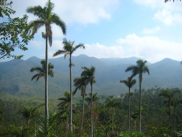 Cuba vacation, culture and nature