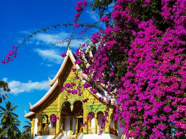 Northern Laos vacation