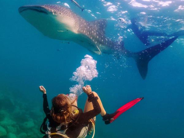 Marine conservation vacation in Thailand