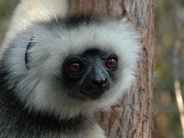 Small group vacations to Madagascar