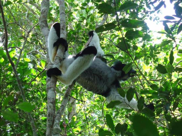 Small group vacations to Madagascar