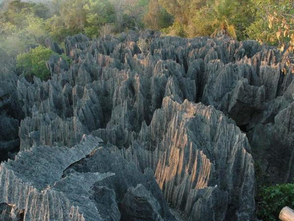 Small group vacations to Madagascar