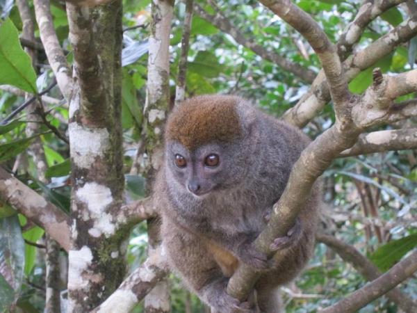 Small group vacations to Madagascar