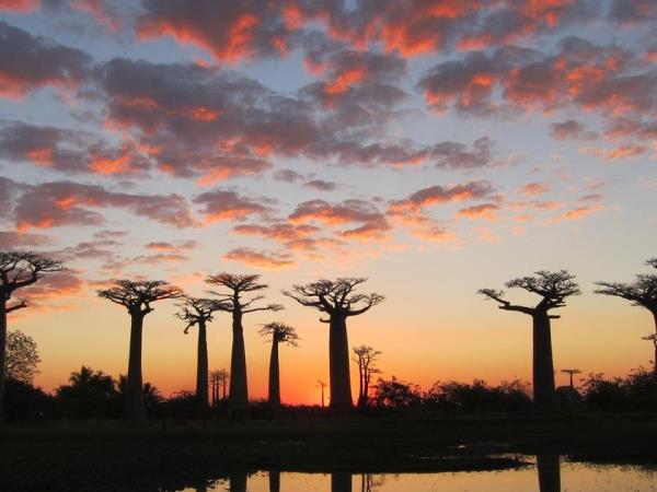 Small group vacations to Madagascar