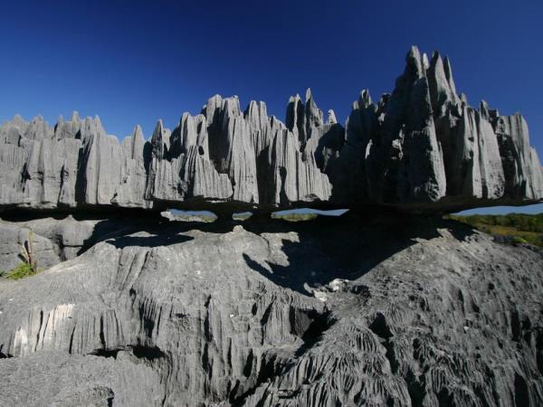 Small group vacations to Madagascar
